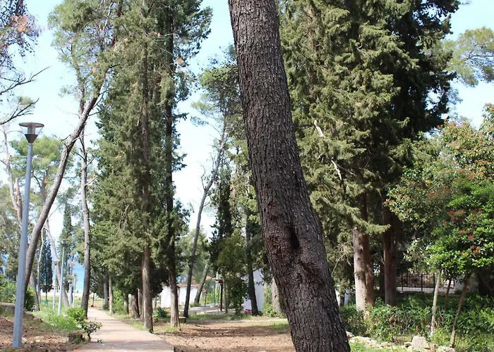 Apartment Salihbegovic Necujam