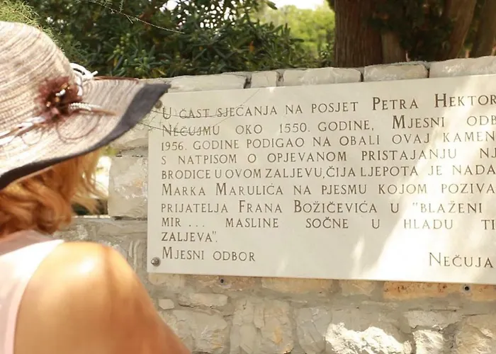 Salihbegovic